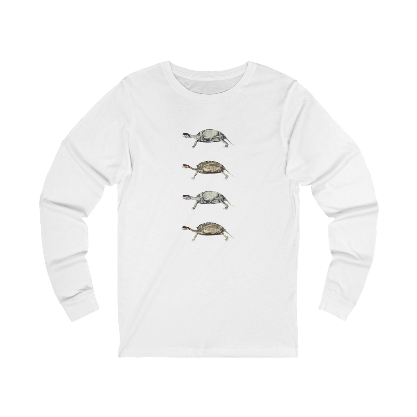 Turtle Anatomy Long Sleeve Graphic Tee