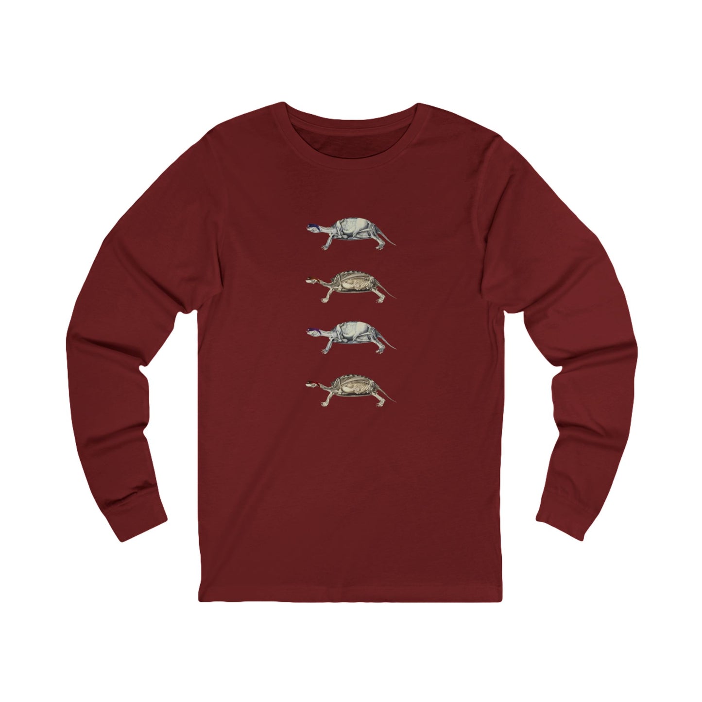 Turtle Anatomy Long Sleeve Graphic Tee