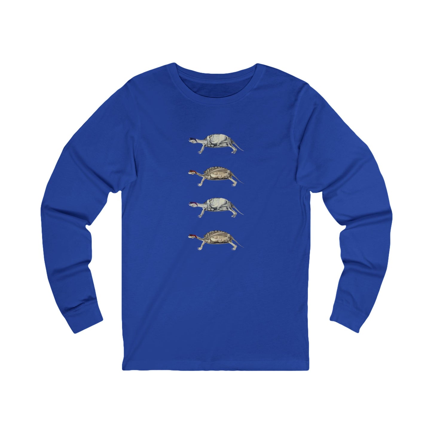 Turtle Anatomy Long Sleeve Graphic Tee