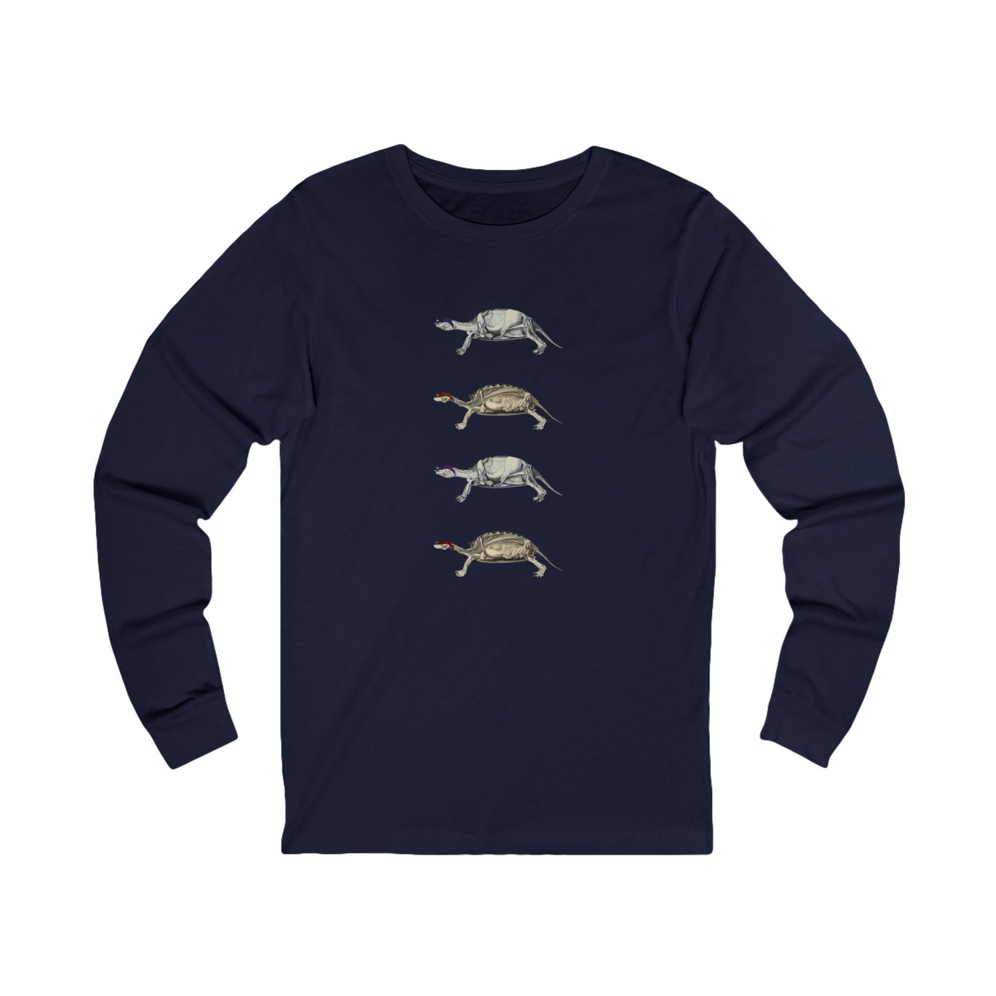 Turtle Anatomy Long Sleeve Graphic Tee